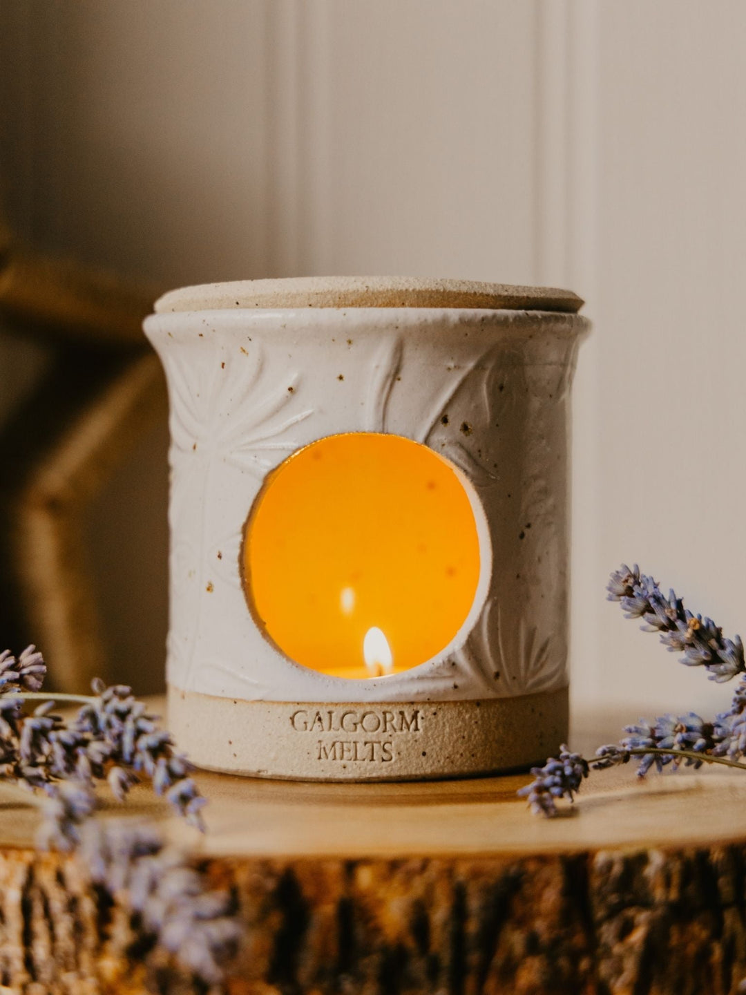 Wax warmer gift bundle